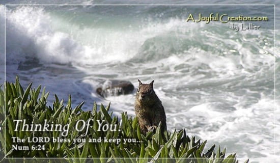 Thinking Of You ecard, online card