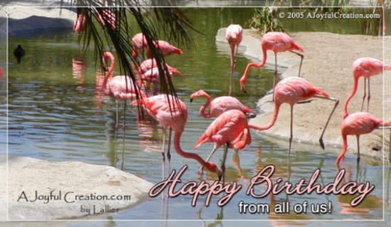 Happy Birthday - From All ecard, online card
