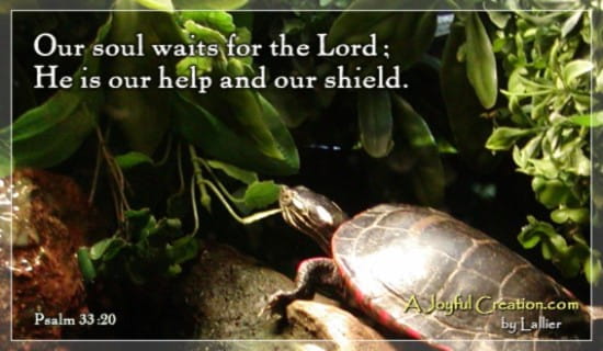 Psalms 33:20 ecard, online card