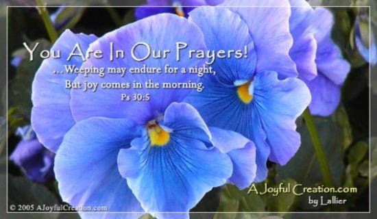 In Our Prayers ecard, online card
