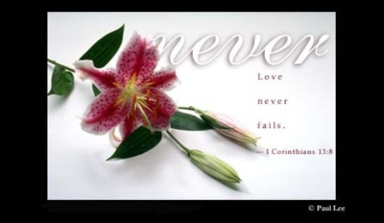 Love Never ecard, online card