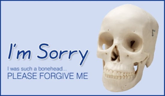 Bonehead - I'm Sorry ecard, online card