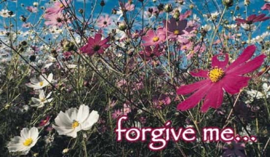 Free Forgive Me Ecard Email Free Personalized Oops And Sorry Cards Online