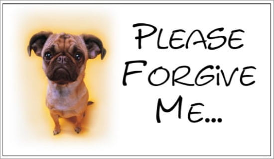 Please Forgive Me ecard, online card