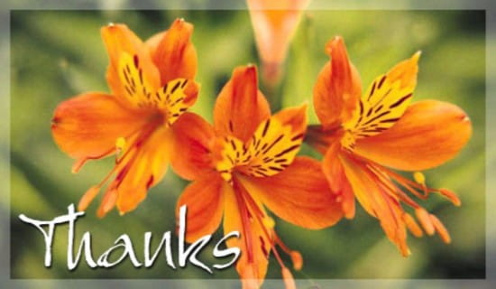 Orange Flowers ecard, online card