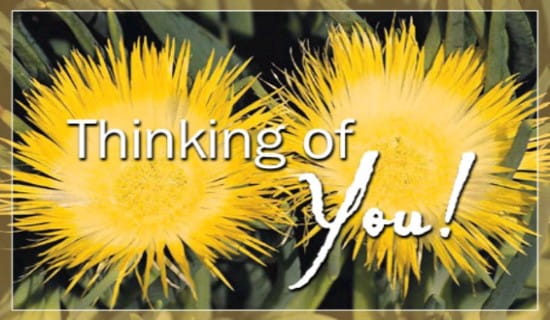 Thinking Of You ecard, online card