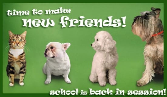 Time To Make New Friends! ecard, online card