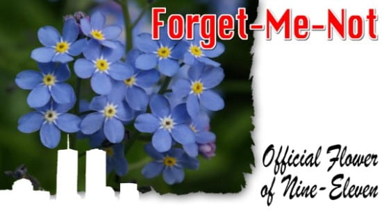 9-11 Forget-Me-Nots ecard, online card