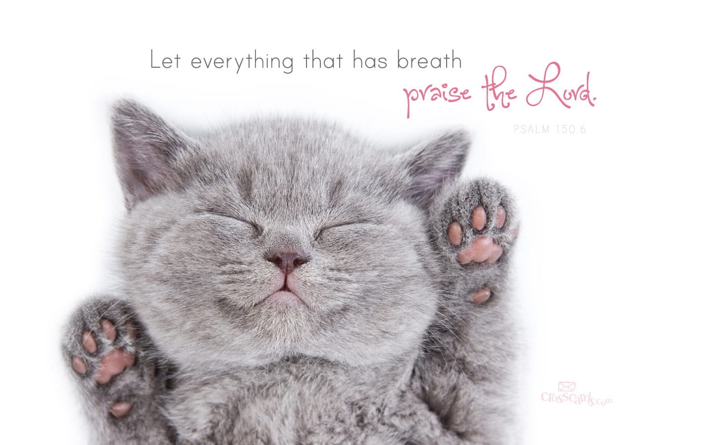 Praise the Lord Desktop Wallpaper - Free Animals Backgrounds