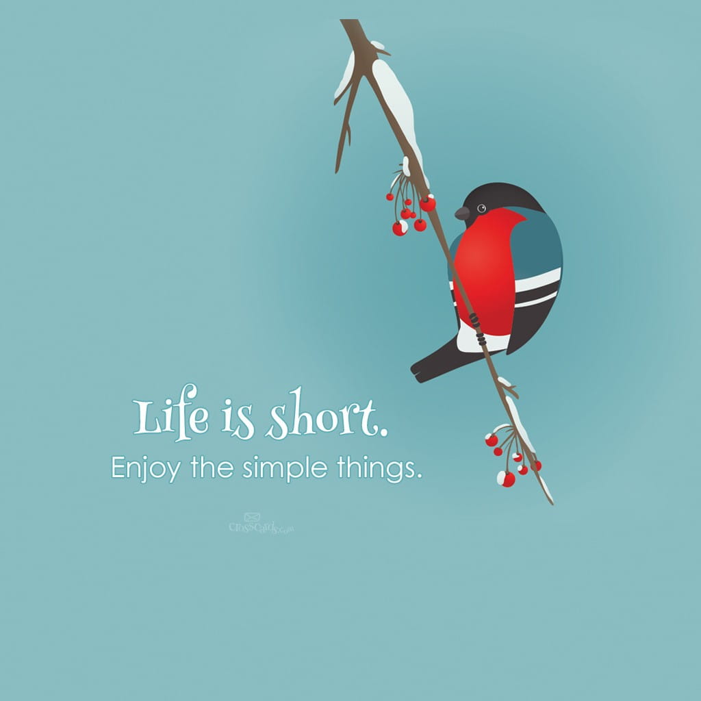 Life is Short Desktop Wallpaper - Free Animals Backgrounds