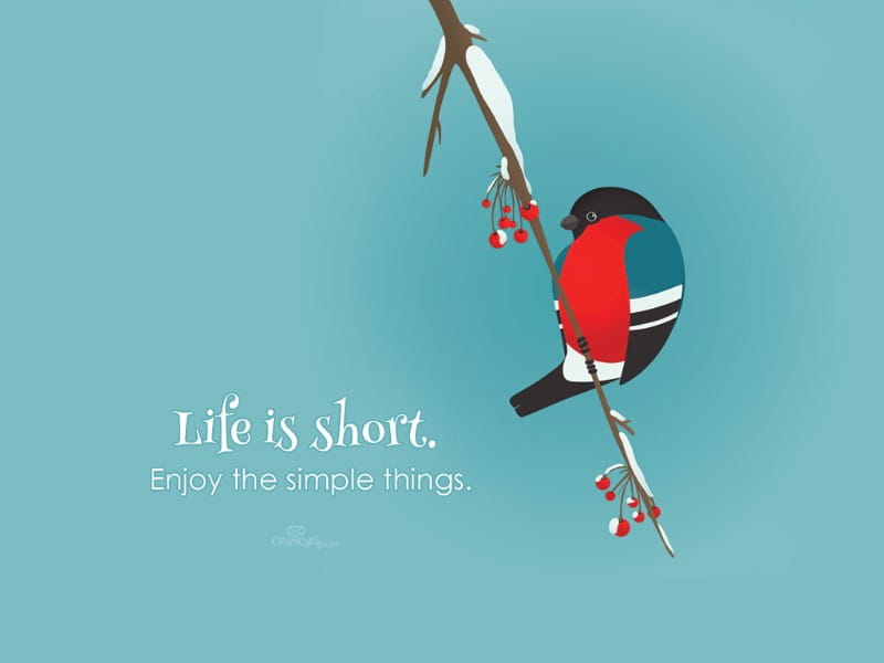 Life is Short mobile phone wallpaper