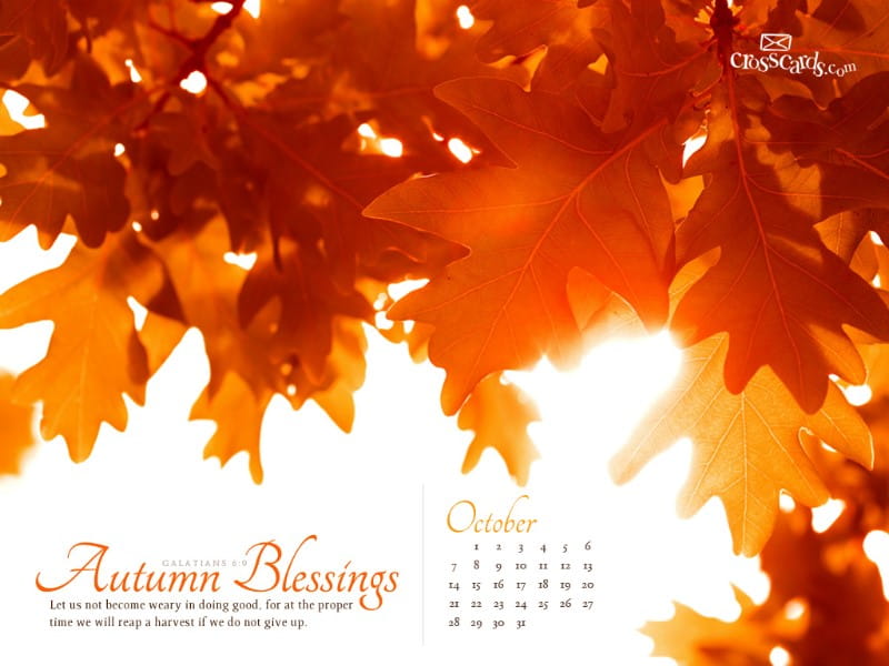 Oct 2012 - Autumn Blessings mobile phone wallpaper