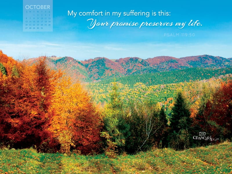 Oct 2013 - Psalm 119:50 mobile phone wallpaper