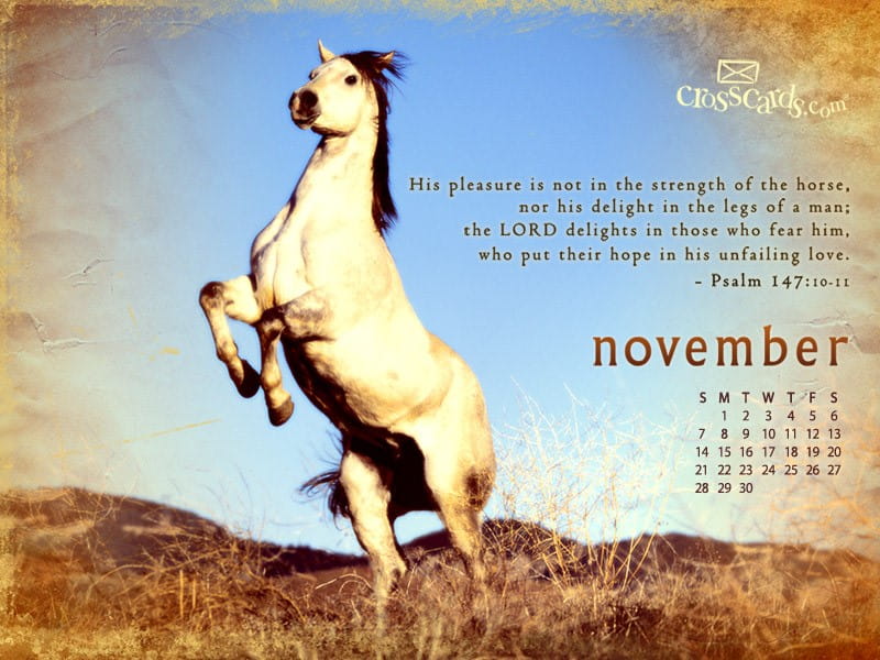 November 2010 - Psalm 147:10-11 Desktop Calendar- Free November Wallpaper