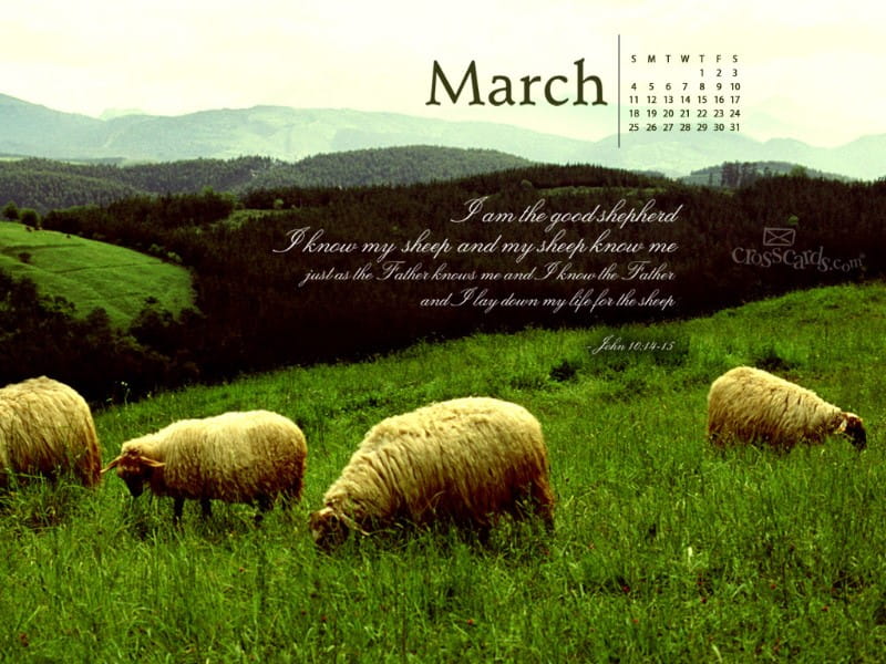 March 2012 - Good Shepherd mobile phone wallpaper