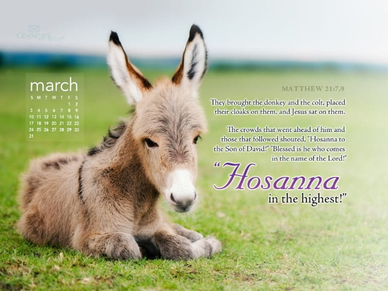 March 2013 - Hosanna mobile phone wallpaper