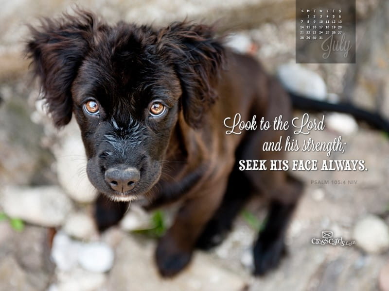 July 2013 Psalm 105 4 NIV Desktop Calendar Free July Wallpaper
