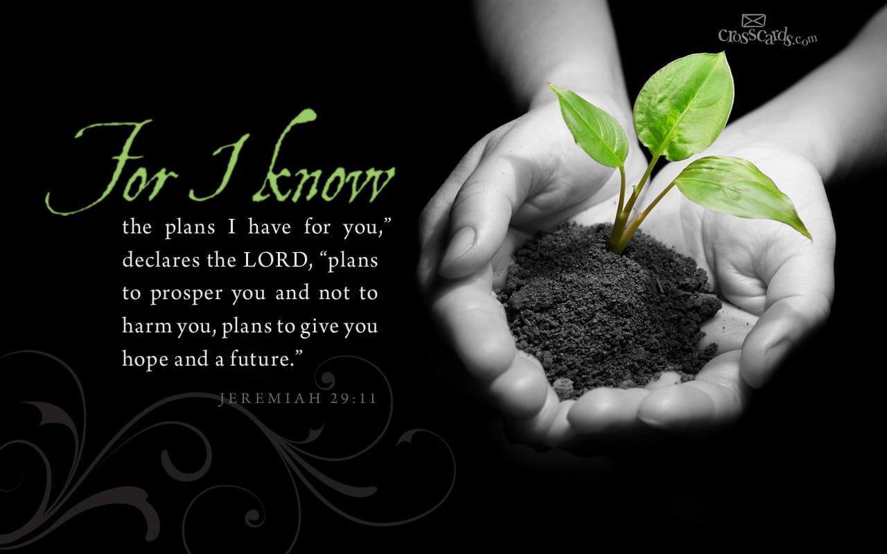I Know the Plans - Bible Verses and Scripture Wallpaper for Phone or  Computer