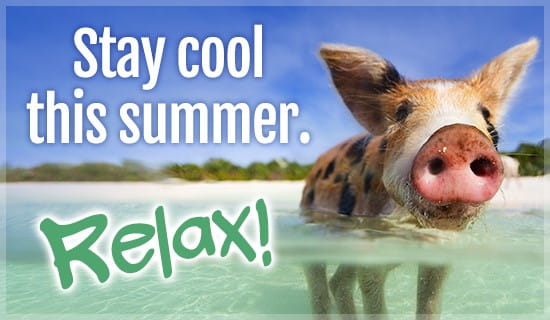 Stay Cool - Relax ecard, online card