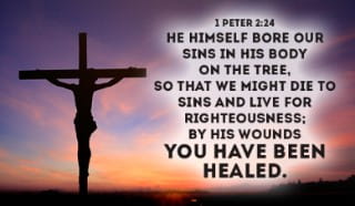 1 Peter 2:24 - "He himself bore our sins" in his body on ...