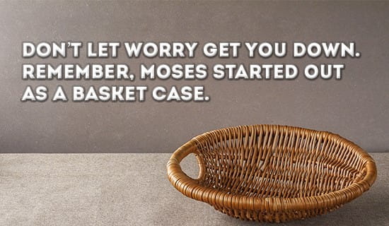 Even Moses was a basket case :D ecard, online card