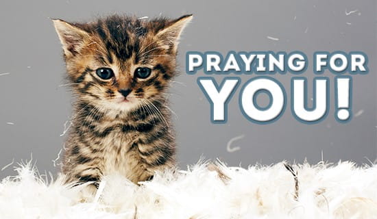 Praying for you! ecard, online card