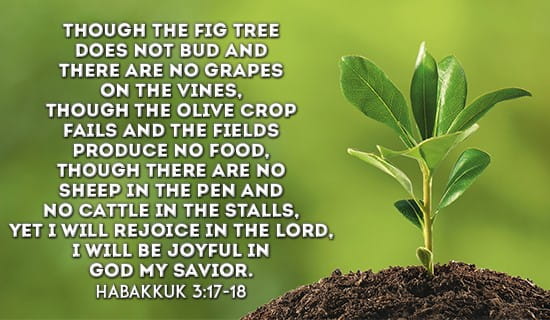 Habakkuk 3:17-18 ECard - Free Facebook Greeting Cards Online