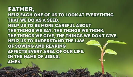 Sowing and Reaping eCard - Free Facebook Greeting Cards Online