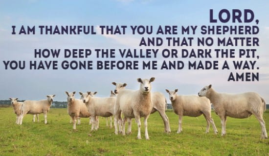 I am thankful that you are my shepherd! ecard, online card
