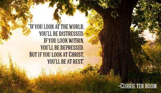 If you look at the world, you'll be distressed, but not if you look at Christ! ecard, online card