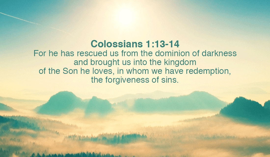 He has brought us out of the darkness! Thank you Lord! -Colossians 1:13-14 ecard, online card