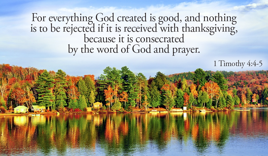 What are you thankful for? - 1 Timothy 4:4-5 ecard, online card