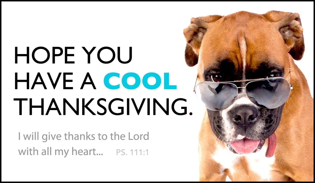 Cool Thanksgiving ecard, online card