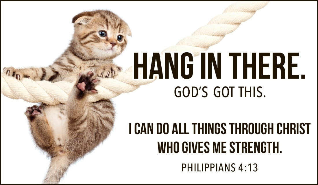 Hang in There ecard, online card