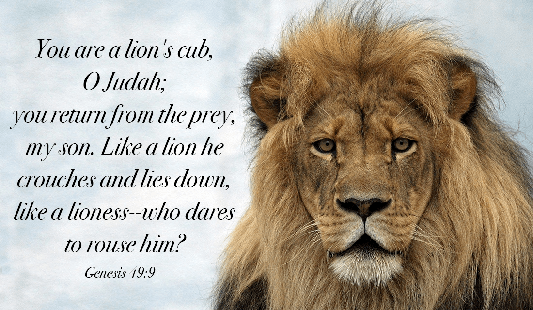 God will protect us like a lion protects her cubs - Genesis 49:9 ecard, online card