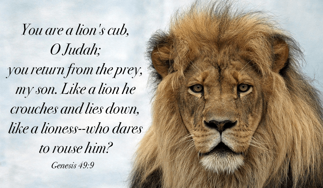 god-will-protect-us-like-a-lion-protects-her-cubs-genesis-49-9-ecard