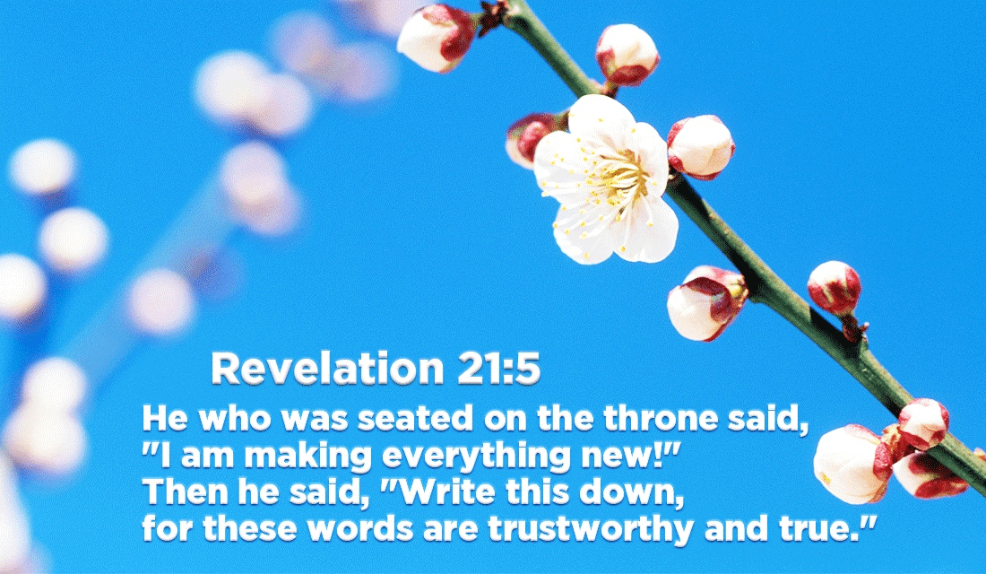 Make new things this year! - Revelation 21:5 eCard - Free Facebook ...