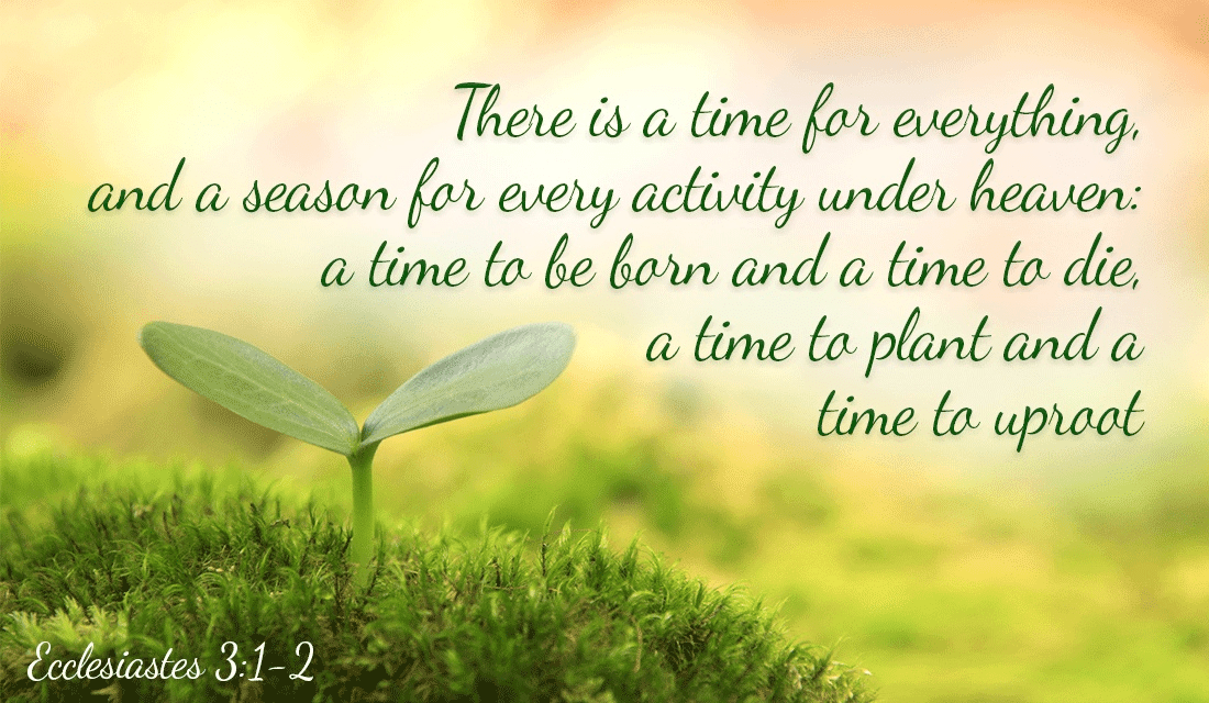 It's all in the timing - Ecclesiastes 3:1-2 ecard, online card