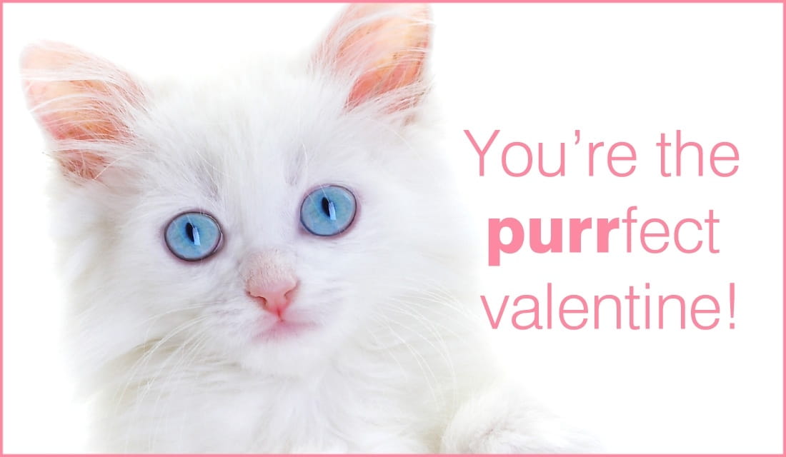Purrfect Valentine ecard, online card