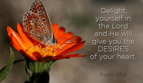 Psalm 37:4 - Take delight in the LORD, and he will give you ...
