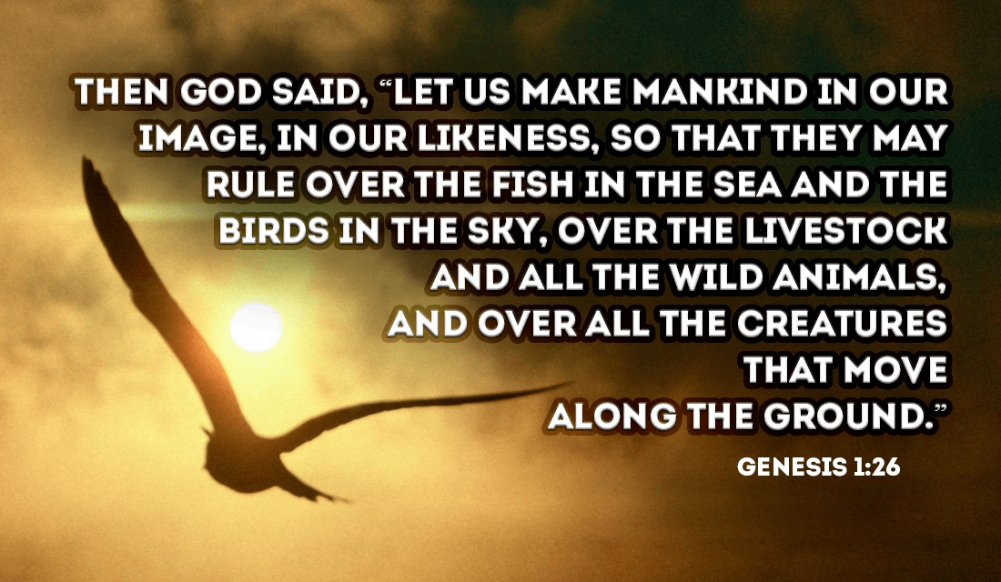 In What Ways Do You Think We Are In The Likeness Of God Genesis 1 26 