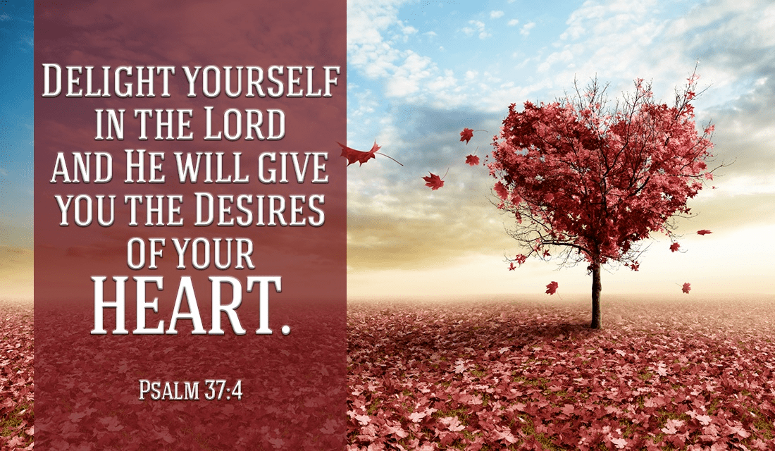 If You Delight Yourself In The Lord What Would Your Desires Be 