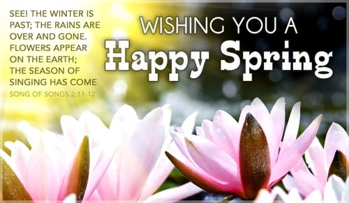 Spring eCards - Free eMail Greeting Cards Online
