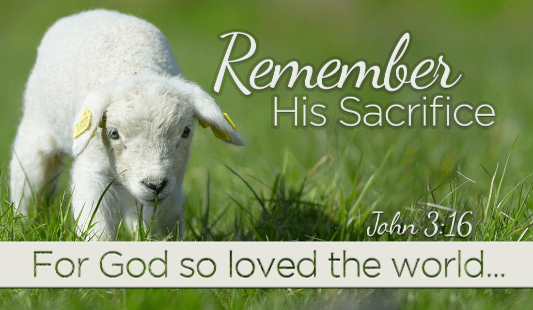 He was GOD's lamb, given for us. ecard, online card
