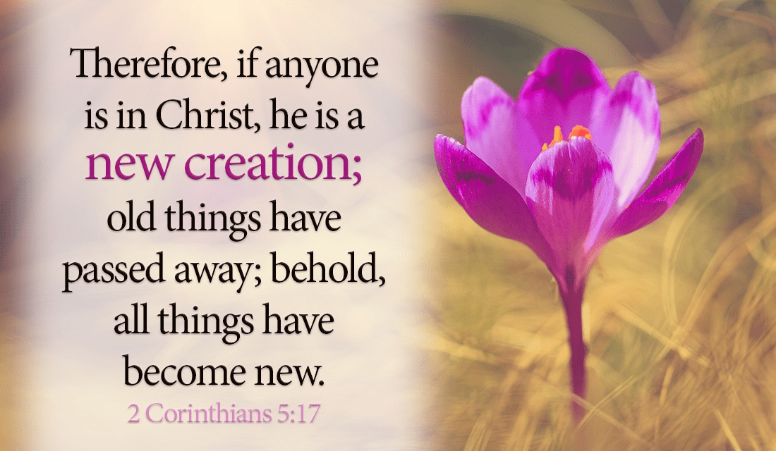 Through GOD, you are Made new! - 2 Corinthians 5:17 ecard, online card