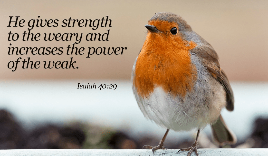 He WILL make you strong, believe in Him! - Isaiah 40:29 ecard, online card
