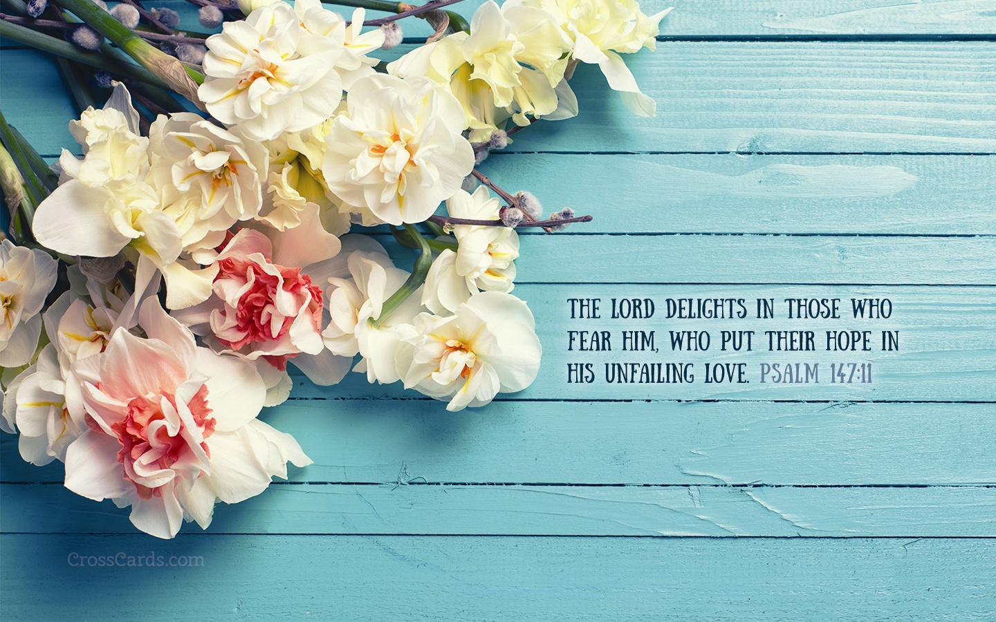 Cute Bible Verse Background