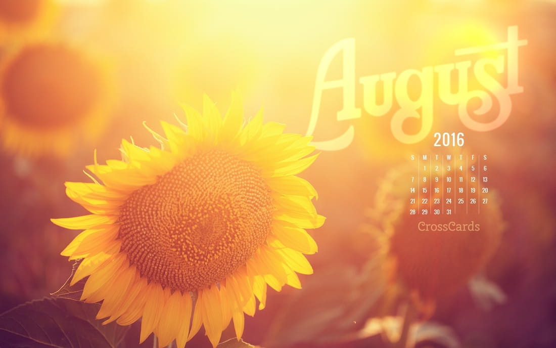 August 2016 - Sunflower mobile phone wallpaper