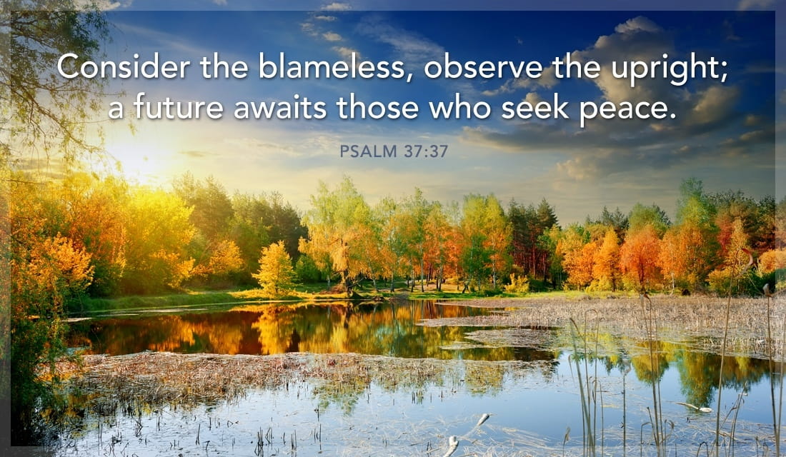 Psalm 37 37 Inspirations