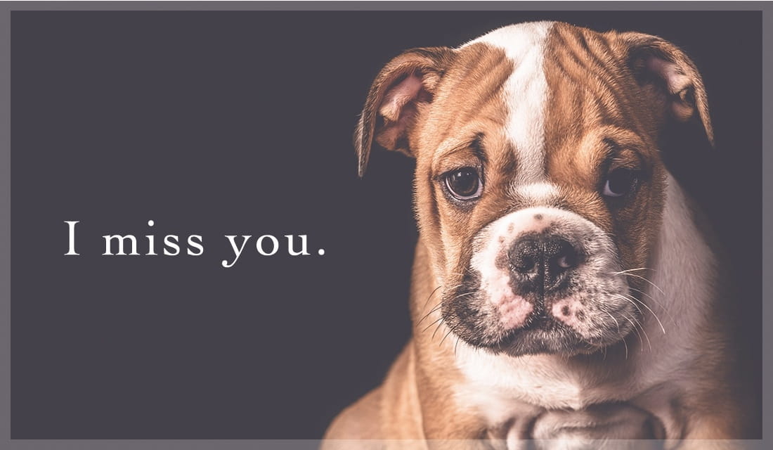 I Miss You ecard, online card